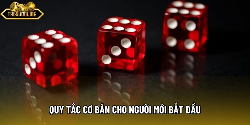 Quy tắc cơ bản cho người mới bắt đầu Quy tắc cơ bản cho người mới bắt đầu