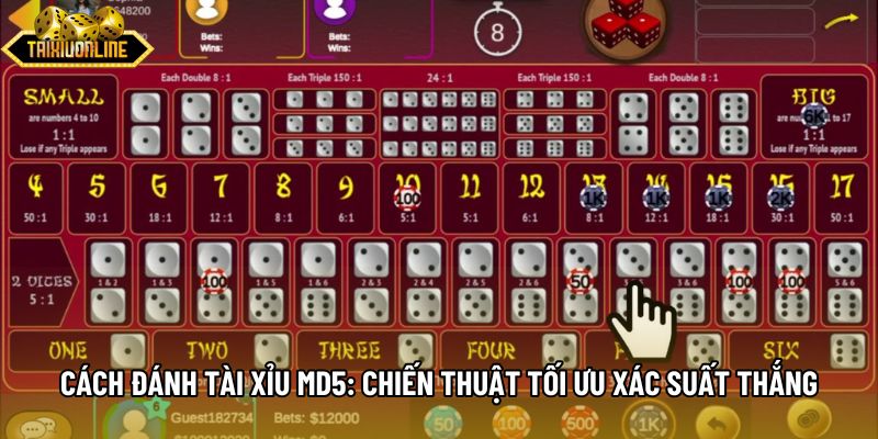 Cách Đánh Tài Xỉu Md5: Chiến Thuật Tối Ưu Xác Suất Thắng