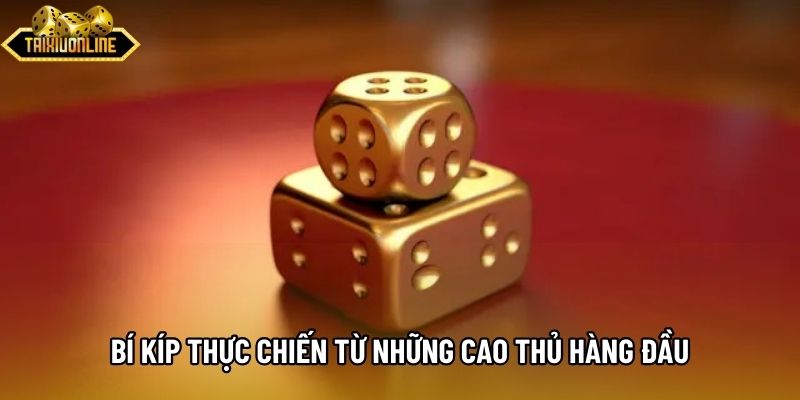 Bí kíp thực chiến từ những cao thủ hàng đầu